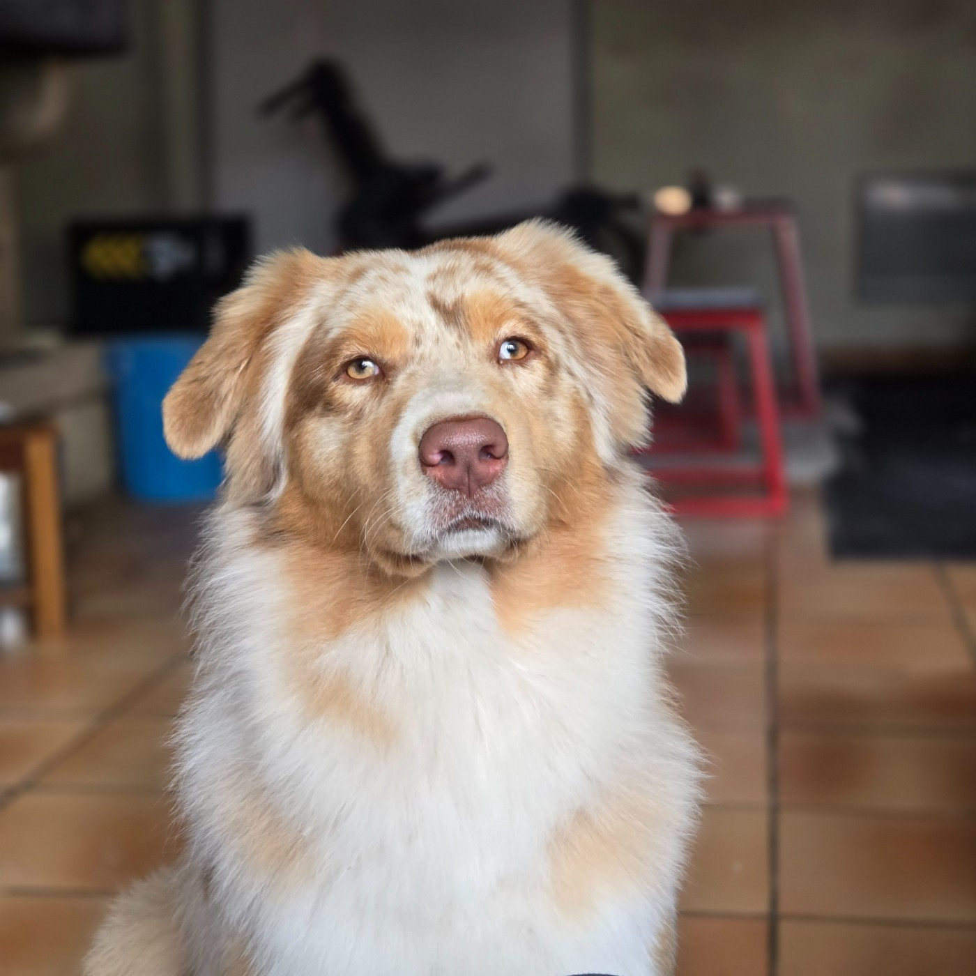 U me De La Vallée De Quezacs