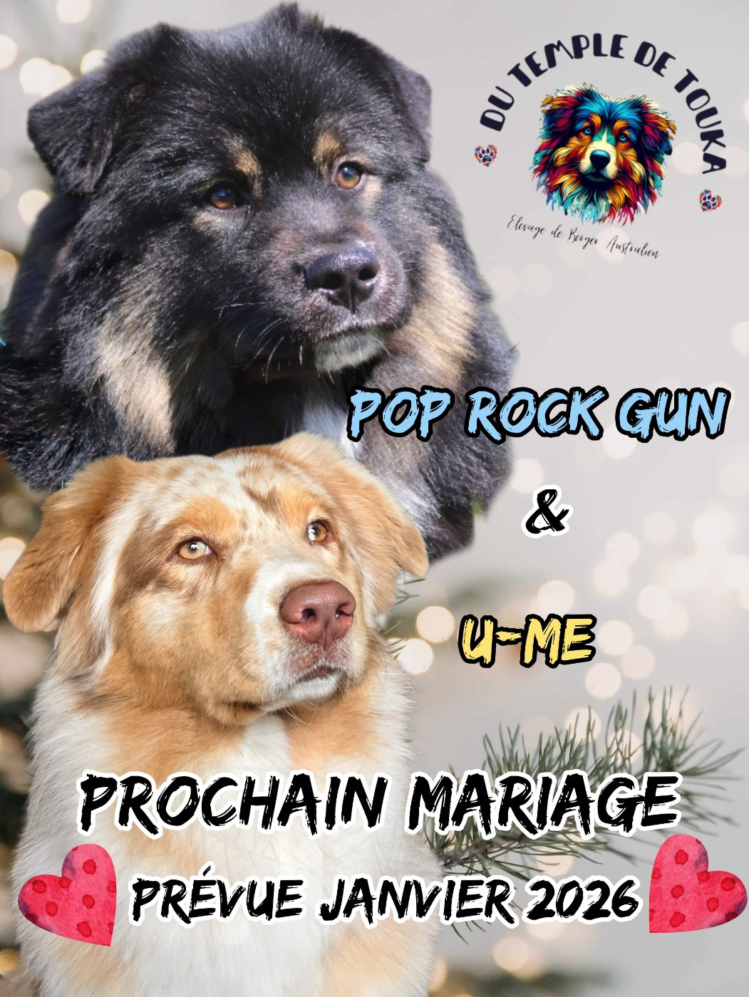 Mariage à venir : U-ME & Pop rock guns n'rozes du rocher florin