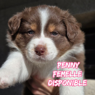 COLLIER MAGENTA - PENNY